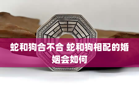 蛇和狗合不合 蛇和狗相配的婚姻会如何