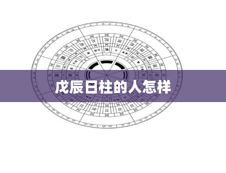戊辰日柱的人怎样