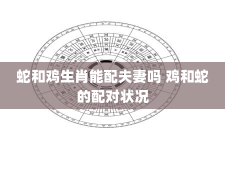 蛇和鸡生肖能配夫妻吗 鸡和蛇的配对状况
