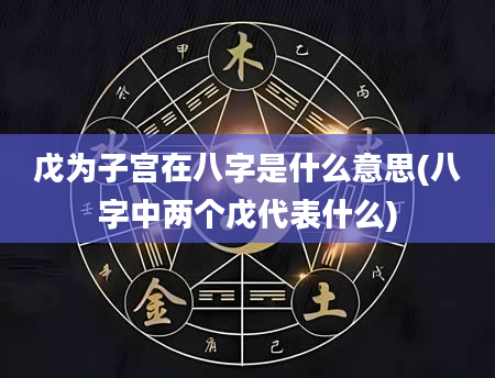 戊为子宫在八字是什么意思(八字中两个戊代表什么)