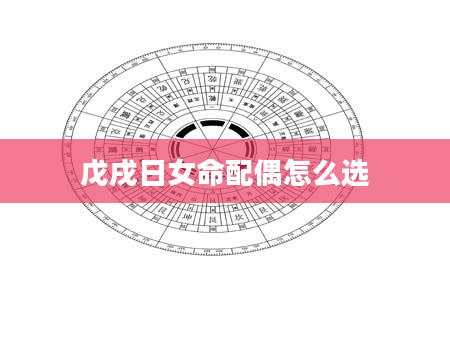 戊戌日女命配偶怎么选