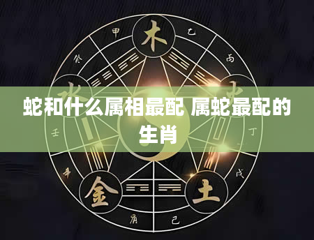 蛇和什么属相最配 属蛇最配的生肖