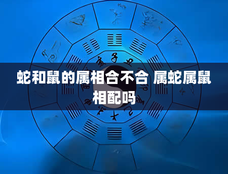 蛇和鼠的属相合不合 属蛇属鼠相配吗