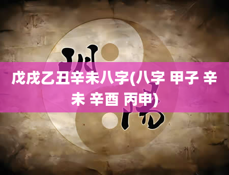 戊戌乙丑辛未八字(八字 甲子 辛未 辛酉 丙申)