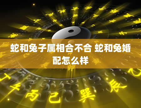 蛇和兔子属相合不合 蛇和兔婚配怎么样