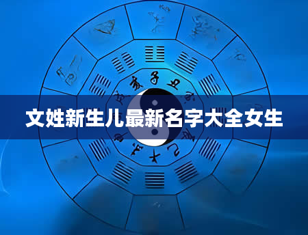 文姓新生儿最新名字大全女生