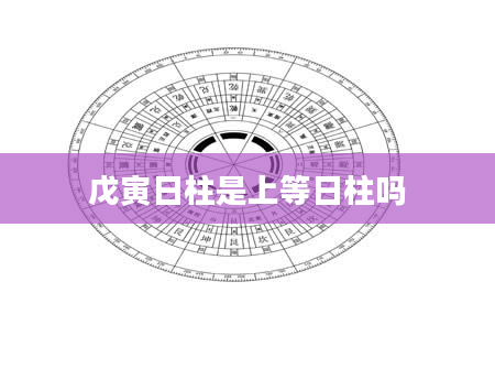 戊寅日柱是上等日柱吗
