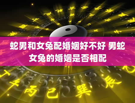 蛇男和女兔配婚姻好不好 男蛇女兔的婚姻是否相配