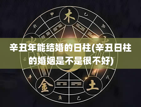 辛丑年能结婚的日柱(辛丑日柱的婚姻是不是很不好)