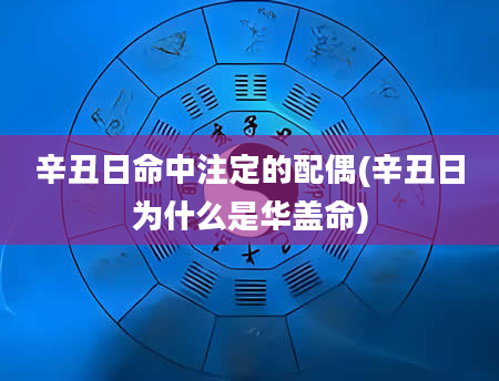 辛丑日命中注定的配偶(辛丑日为什么是华盖命)