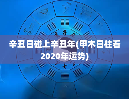 辛丑日碰上辛丑年(甲木日柱看2020年运势)