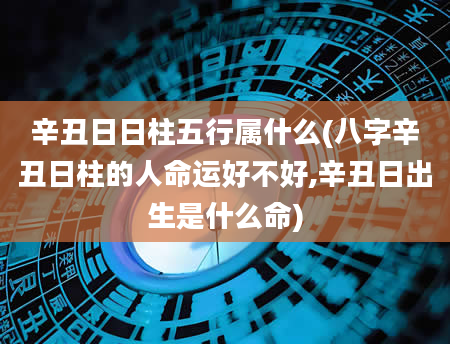 辛丑日日柱五行属什么(八字辛丑日柱的人命运好不好,辛丑日出生是什么命)