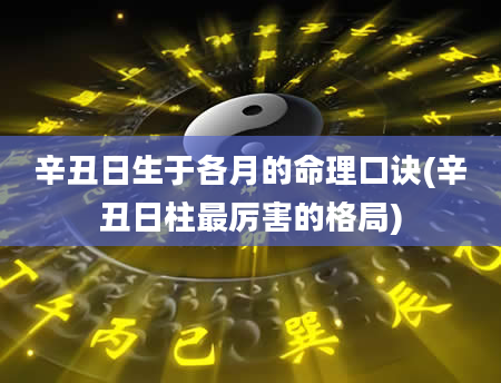 辛丑日生于各月的命理口诀(辛丑日柱最厉害的格局)