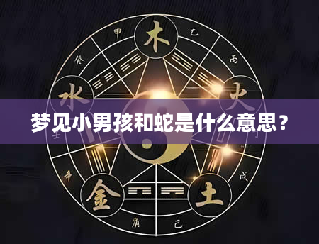 梦见小男孩和蛇是什么意思？