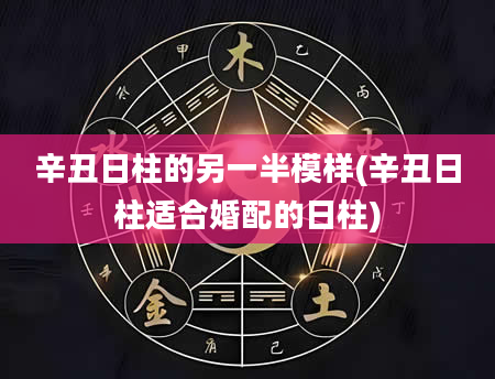 辛丑日柱的另一半模样(辛丑日柱适合婚配的日柱)