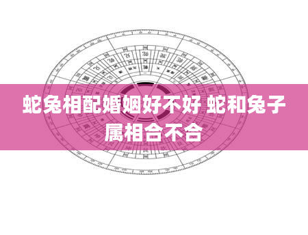 蛇兔相配婚姻好不好 蛇和兔子属相合不合