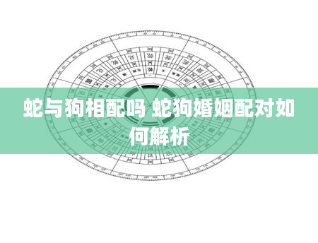 蛇与狗相配吗 蛇狗婚姻配对如何解析