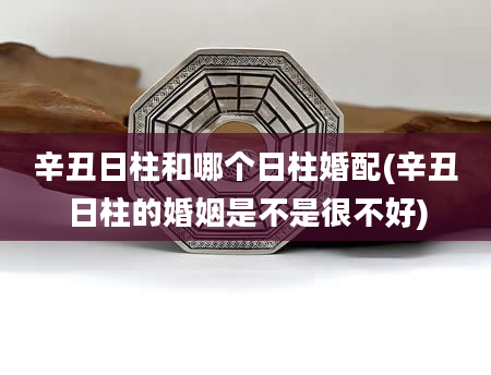 辛丑日柱和哪个日柱婚配(辛丑日柱的婚姻是不是很不好)