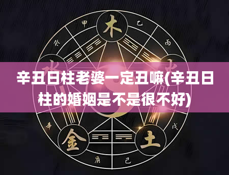 辛丑日柱老婆一定丑嘛(辛丑日柱的婚姻是不是很不好)