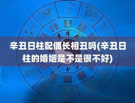 辛丑日柱配偶长相丑吗(辛丑日柱的婚姻是不是很不好)