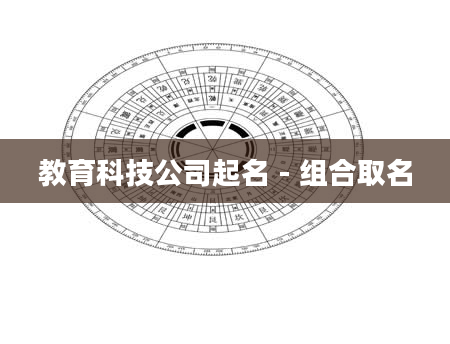 教育科技公司起名 - 组合取名