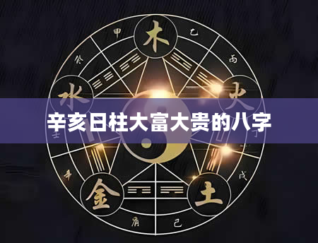 辛亥日柱大富大贵的八字