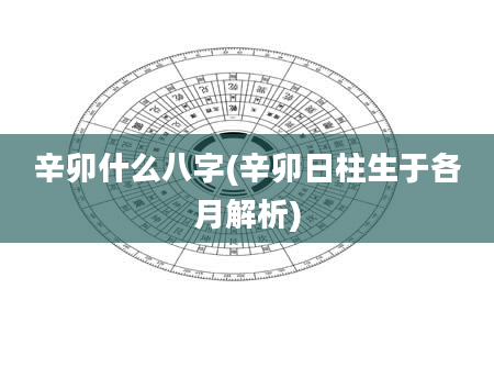 辛卯什么八字(辛卯日柱生于各月解析)