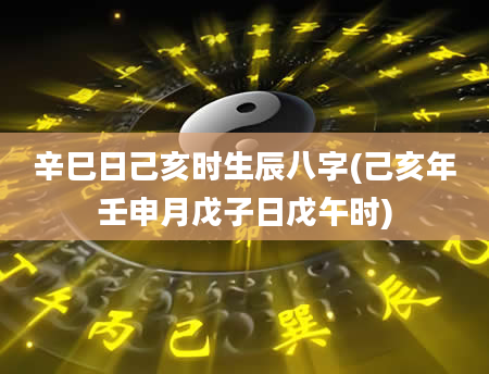 辛巳日己亥时生辰八字(己亥年壬申月戊子日戊午时)
