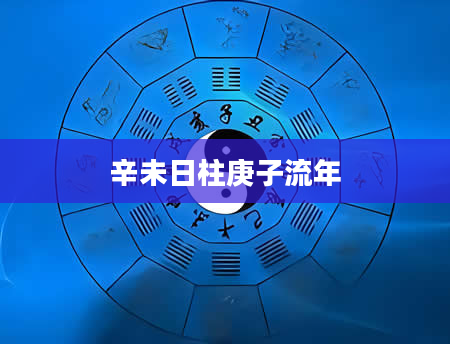 辛未日柱庚子流年