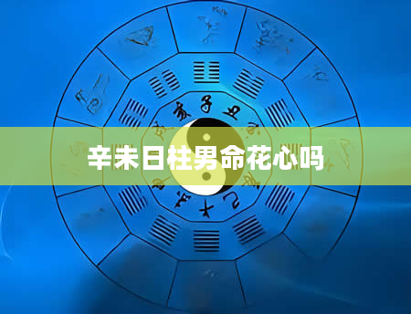 辛未日柱男命花心吗