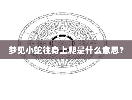 梦见小蛇往身上爬是什么意思？