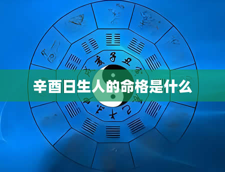 辛酉日生人的命格是什么