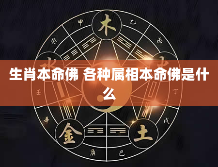 生肖本命佛 各种属相本命佛是什么