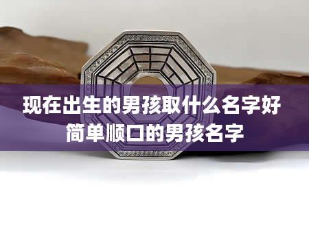 现在出生的男孩取什么名字好 简单顺口的男孩名字