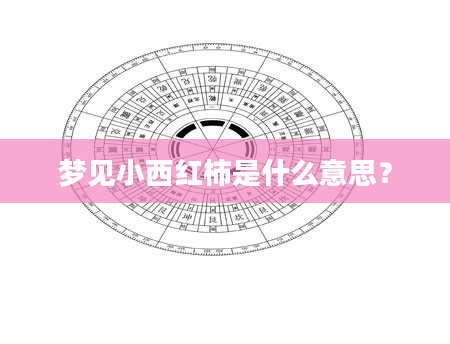 梦见小西红柿是什么意思？