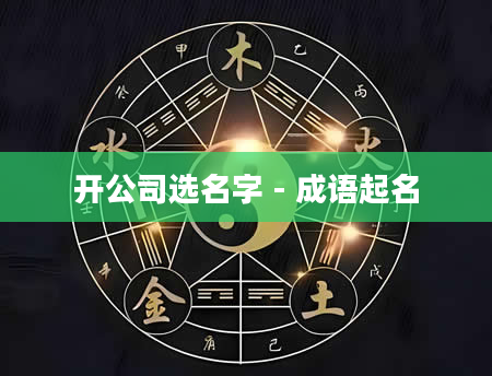 开公司选名字 - 成语起名