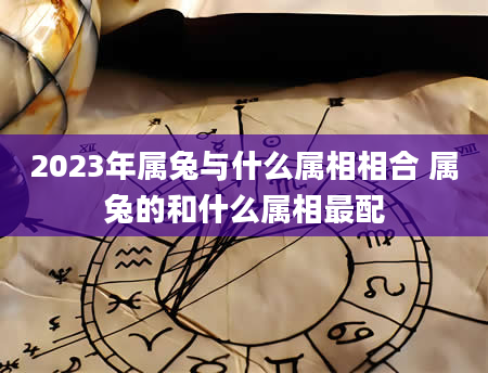 2023年属兔与什么属相相合 属兔的和什么属相最配