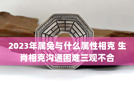 2023年属兔与什么属性相克 生肖相克沟通困难三观不合
