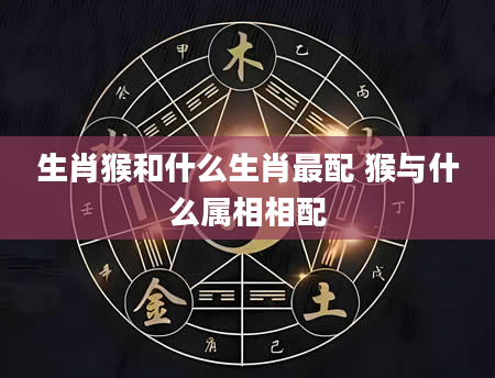 生肖猴和什么生肖最配 猴与什么属相相配