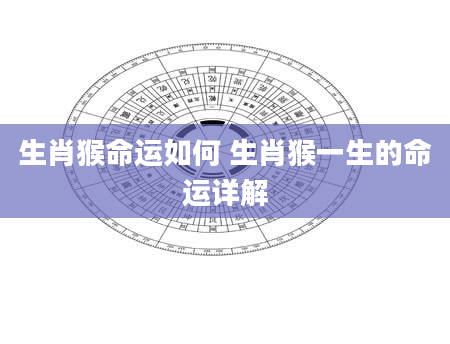 生肖猴命运如何 生肖猴一生的命运详解
