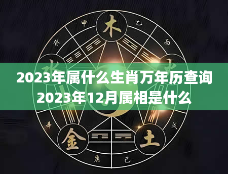 2023年属什么生肖万年历查询2023年12月属相是什么