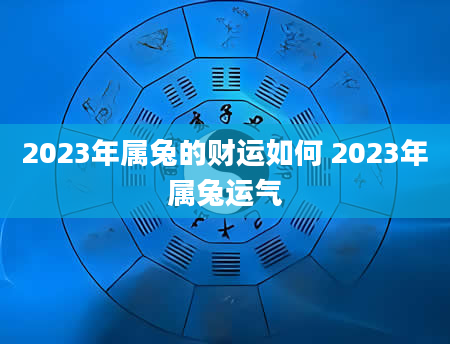 2023年属兔的财运如何 2023年属兔运气