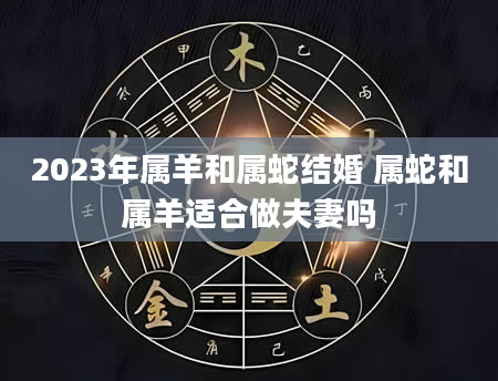 2023年属羊和属蛇结婚 属蛇和属羊适合做夫妻吗