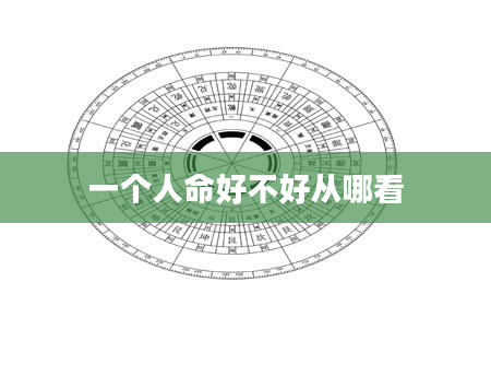 一个人命好不好从哪看