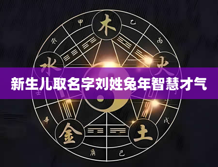 新生儿取名字刘姓兔年智慧才气