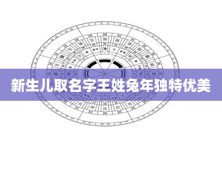 新生儿取名字王姓兔年独特优美