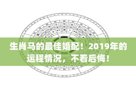 生肖马的最佳婚配！2019年的运程情况，不看后悔！