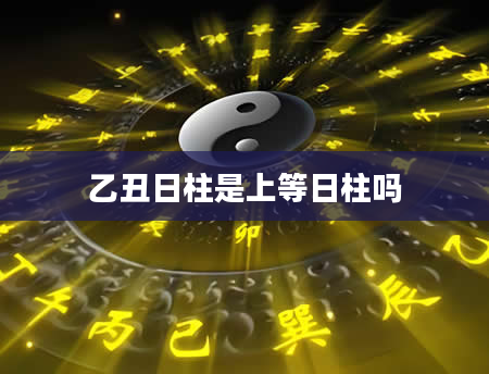 乙丑日柱是上等日柱吗