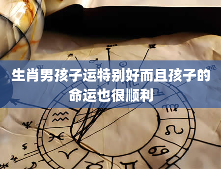 生肖男孩子运特别好而且孩子的命运也很顺利