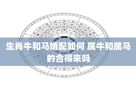 生肖牛和马婚配如何 属牛和属马的合得来吗